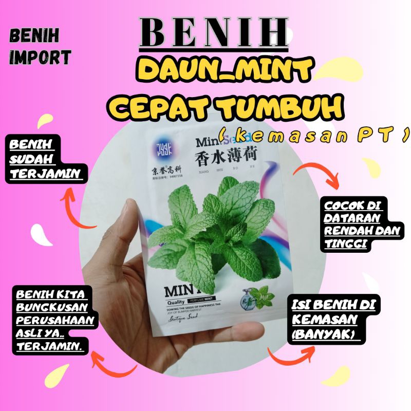 benih daun mint asli kemasan pabrikan