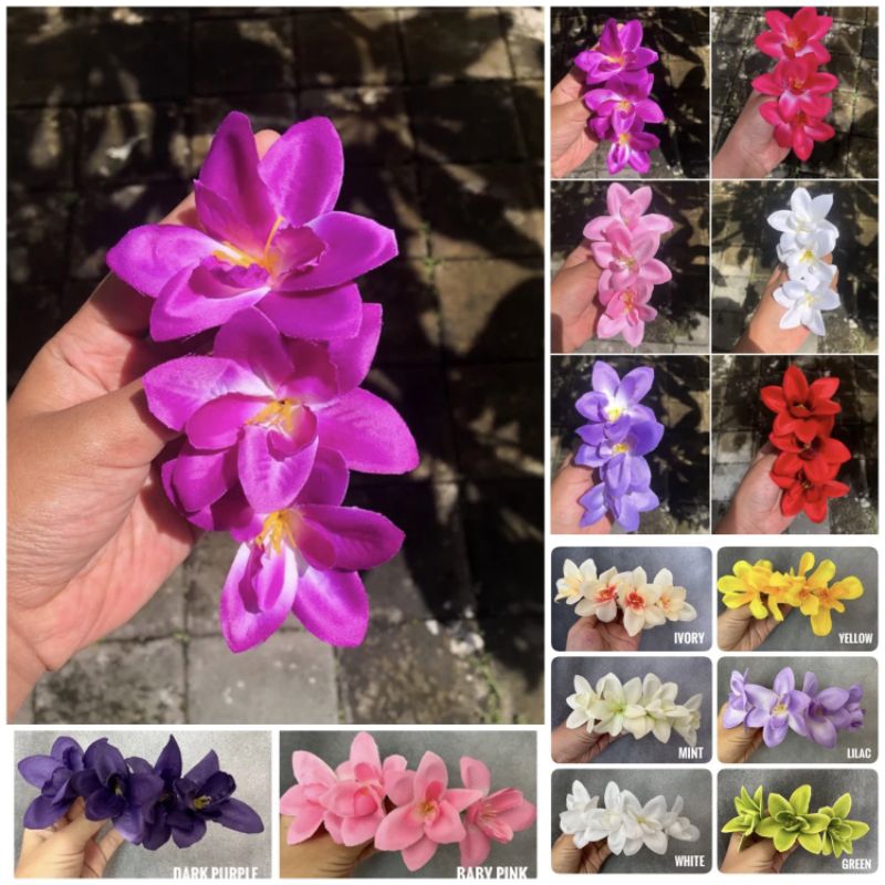 SEMANGGI ANGGREK CATTLEYA, Semanggi Anggrek Cattleya Bali,  Semanggi Bunga Anggrek Kondangan