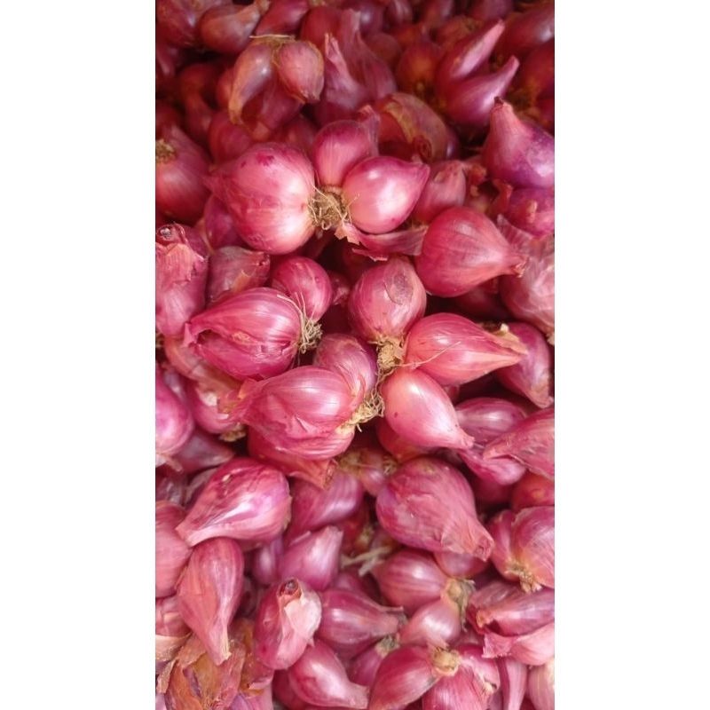 

BAWANG MERAH 1KG