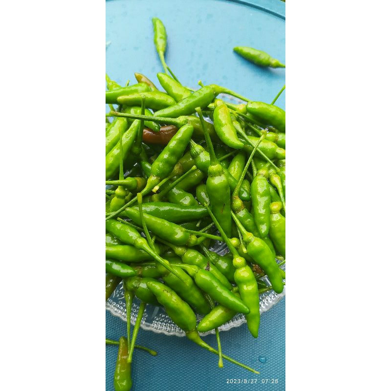 

cabe rawit hijau 250gram