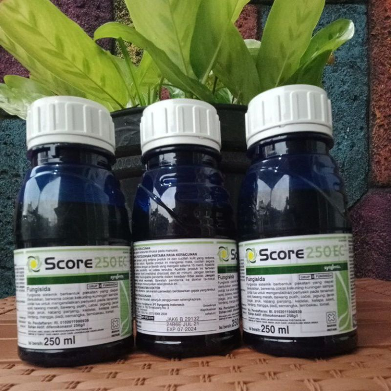 Score 250 Ml