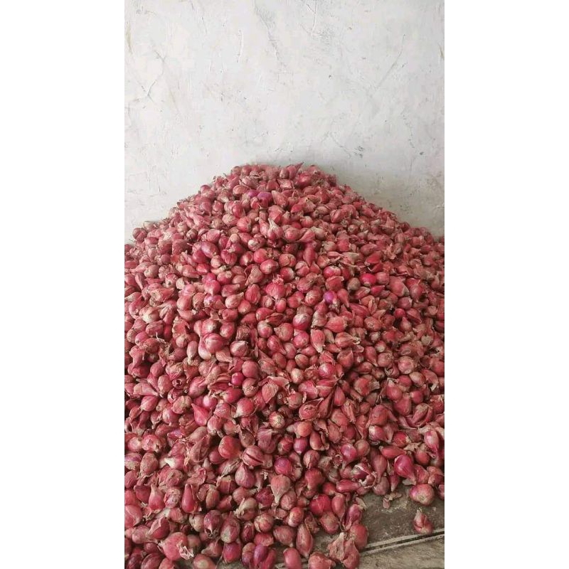 

Bawang Merah