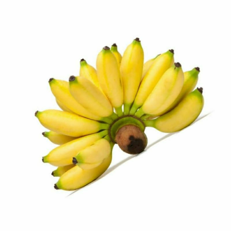 

Pisang muli 1 sisir