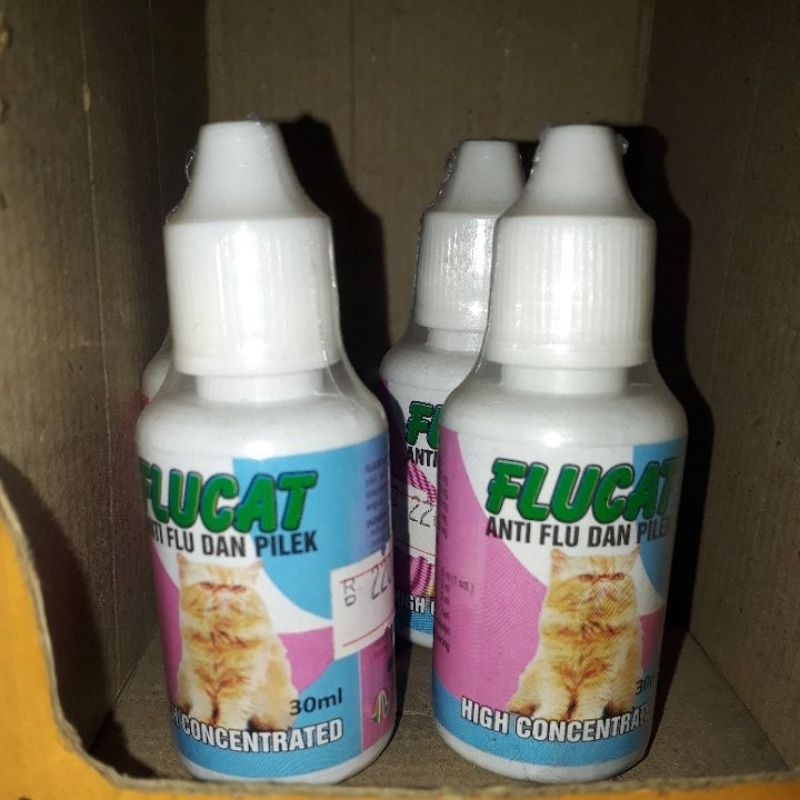 Obat flu kucing dan pilek