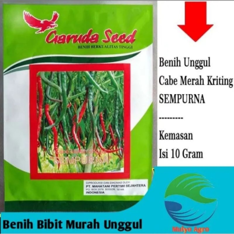 Benih Bibiylt Biji Cabe Merah SEMPURNA Garuda Seed Benih Cabe Besar Benih Cabe Merah Keriting