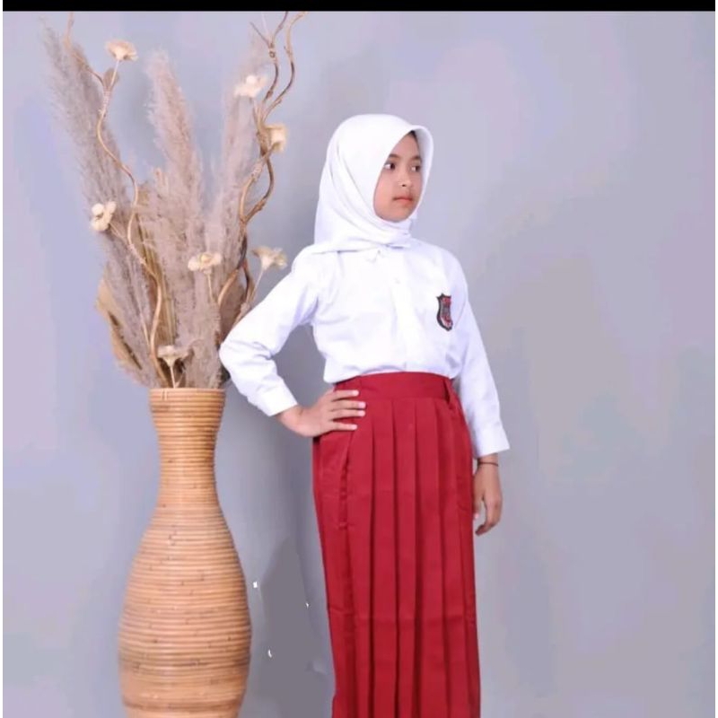 Rok Sekolah Panjang SD/MI Umum Warna Merah,Hitam,Putih,Hijau &amp; Coklat Pramuka