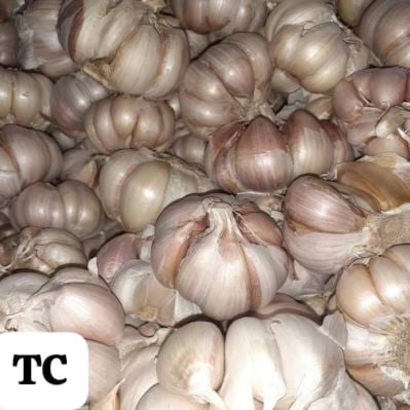 

Bawang Putih Bersih