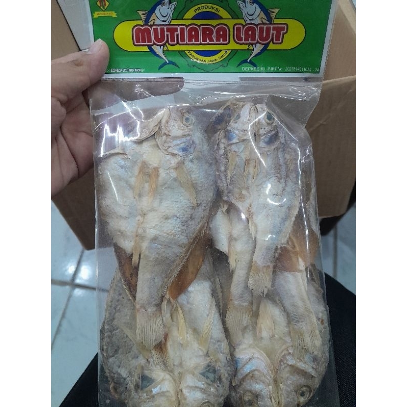 

Mutiara laut ikan graba