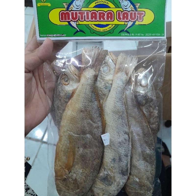 

Mutiara laut ikan sileman