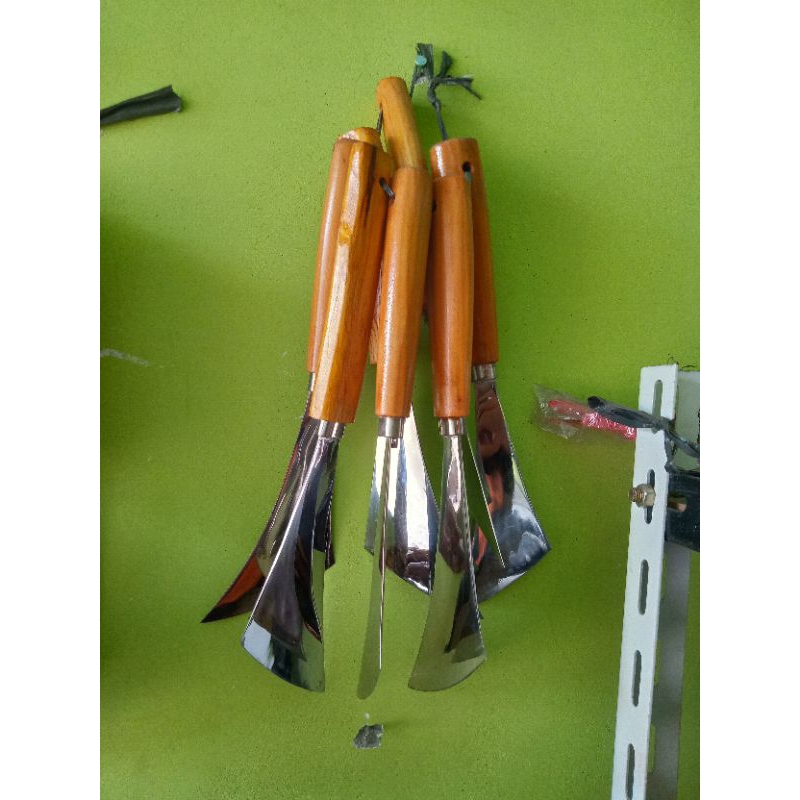 KAPE PANEN SARANG WALET