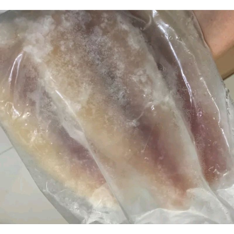 

Ikan Dori Fillet Premium Frozen