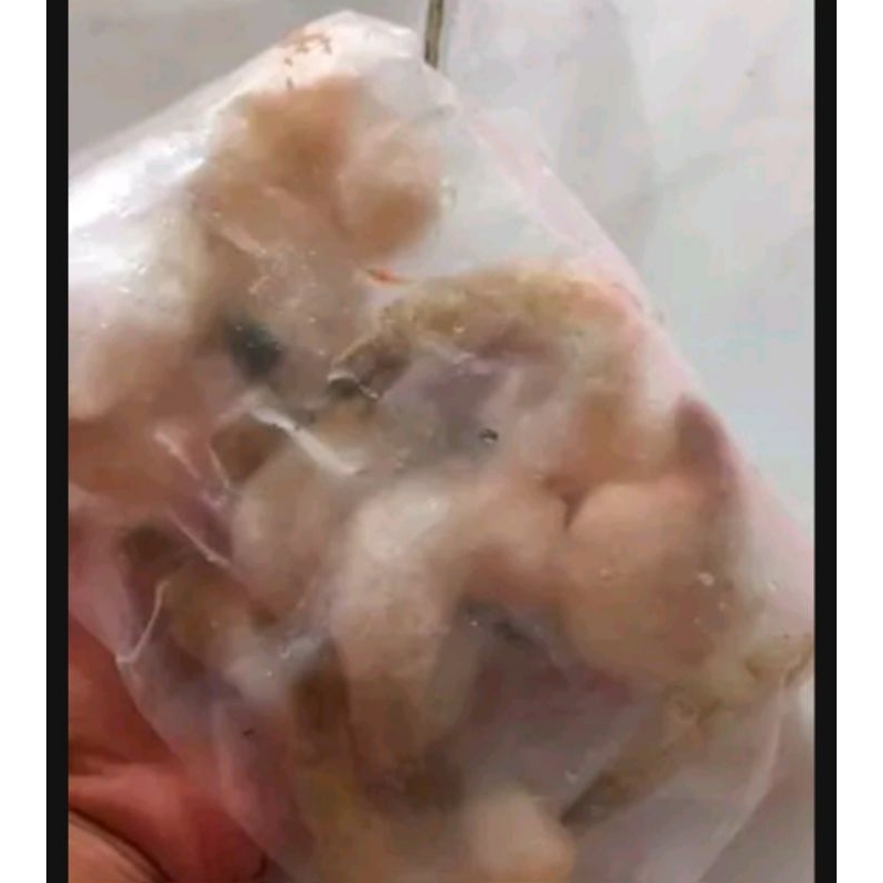 Udang Kupas Size 30-40 Medium Size Frozen