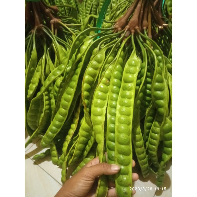 

paket pete super isi 12 papan / 1 ikat