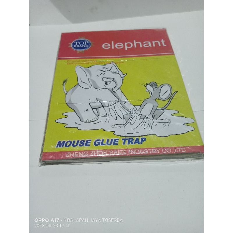 Lem tikus papan elephan jebakan tikus lem tikus lem papan glue trap