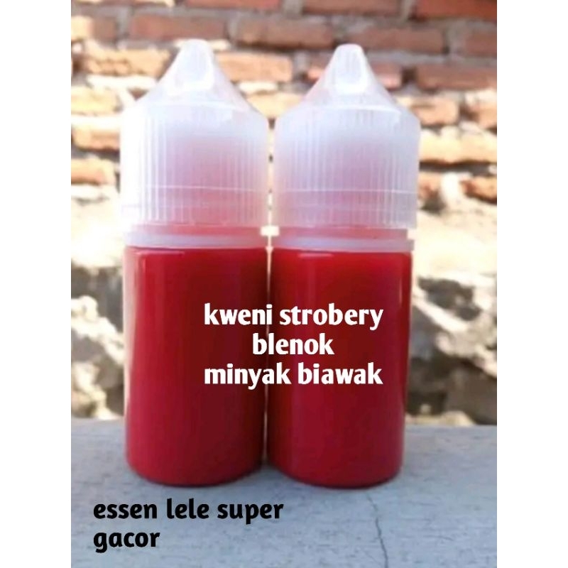 essen galatama lele super gacor