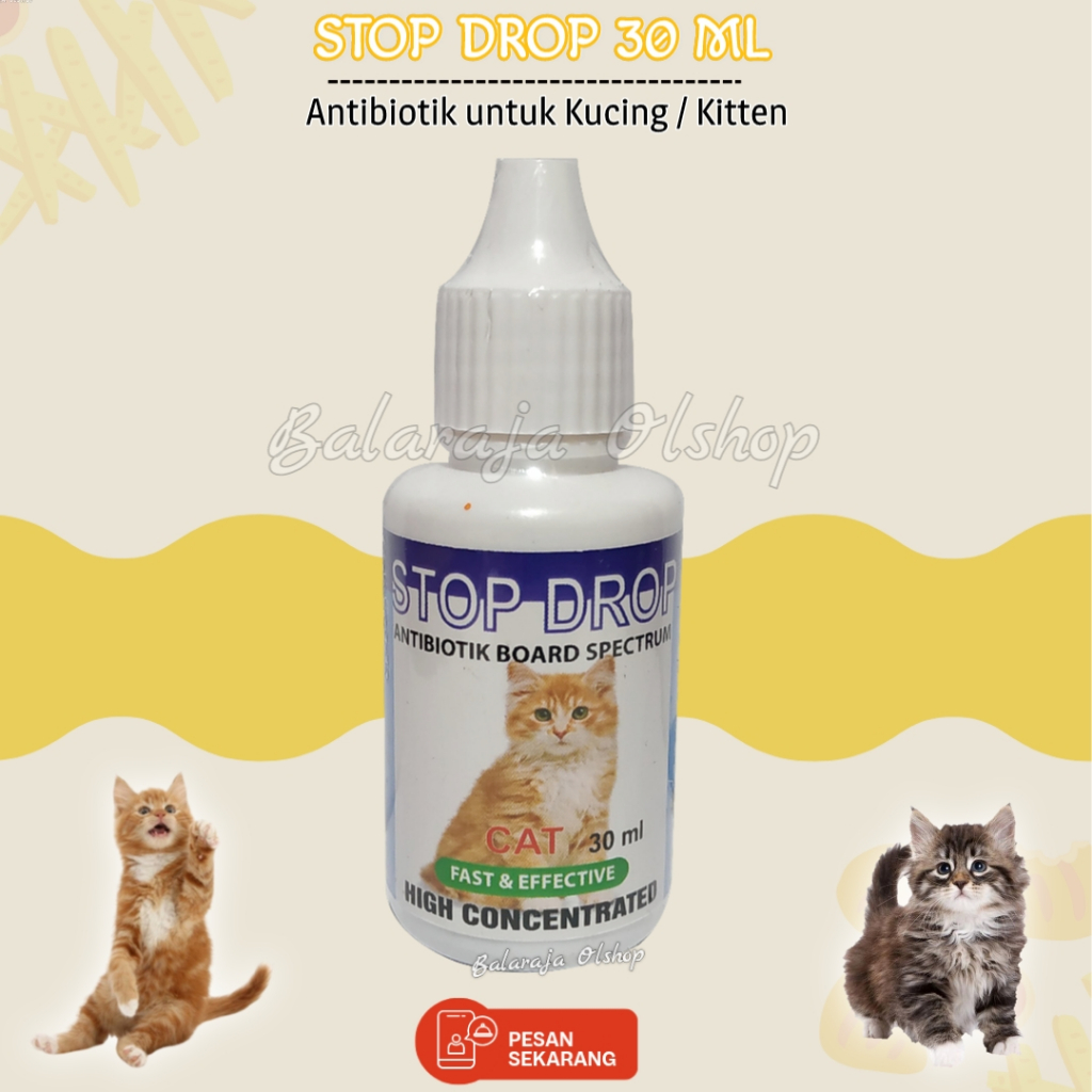 Antibiotik Kucing Obat Demam Flu Batuk Diare Infeksi Pencernaan Dan Gejala Virus Kucing Stop Drop