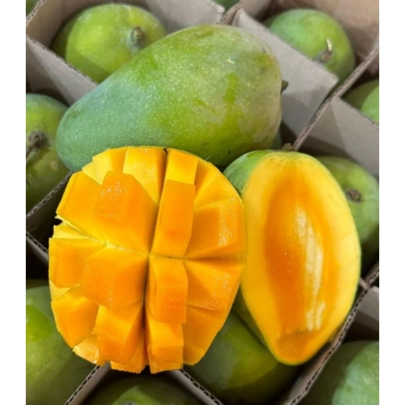 

Mangga harumanis arumanis super manis 1 kg premium