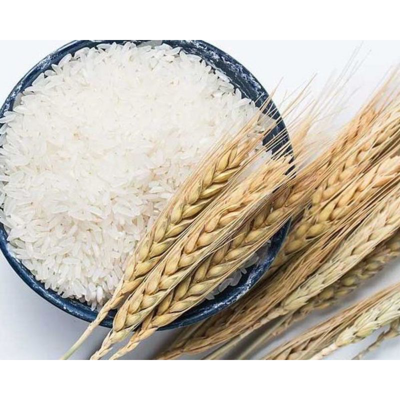 

beras petani pulen 1kg