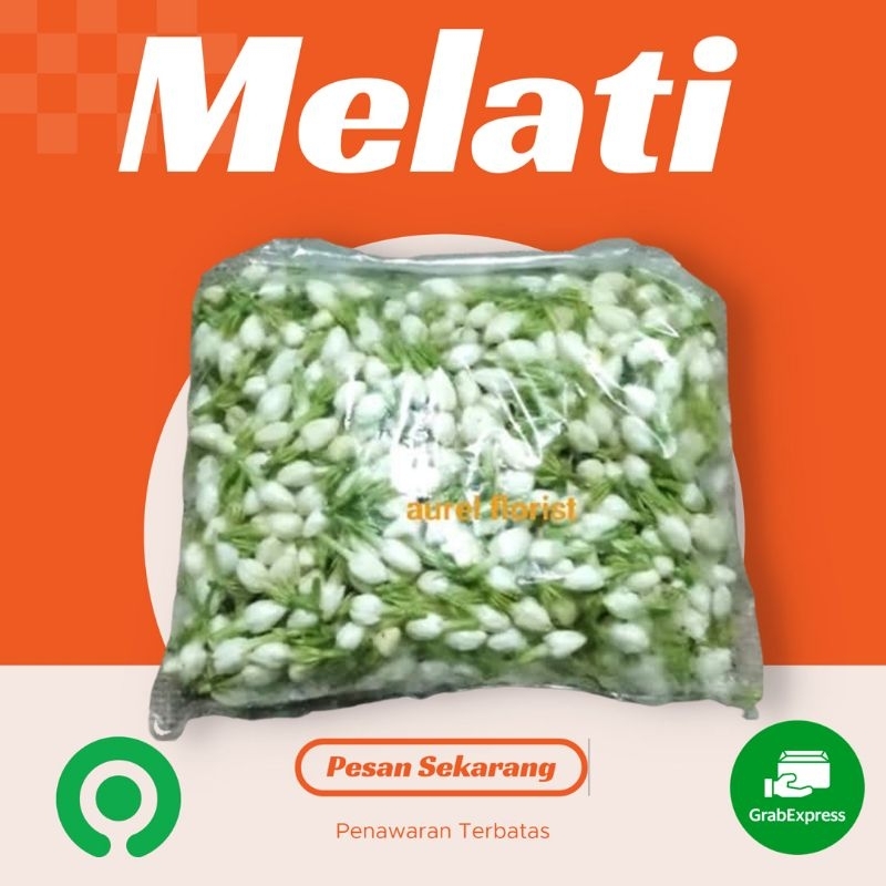 Bunga Melati || Jasmine || Bunga Segar