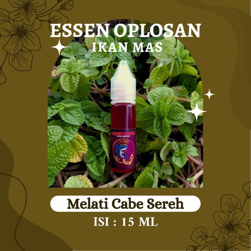 ⭐⭐⭐⭐⭐ESSEN IKAN MAS AROMA KUAT MELATI CABE SEREH 15 ML/ESSEN OPLOSAN IKAN IKAN MAS MALAM/DINGIN/HUJA