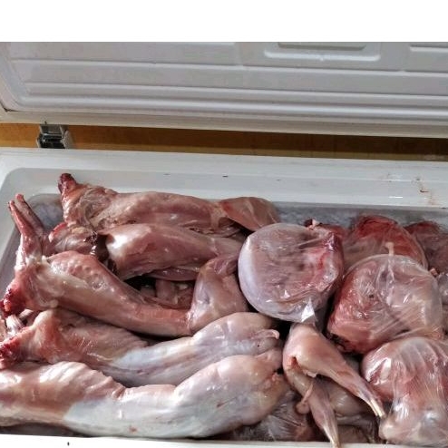 Daging karkas kelinci frozen