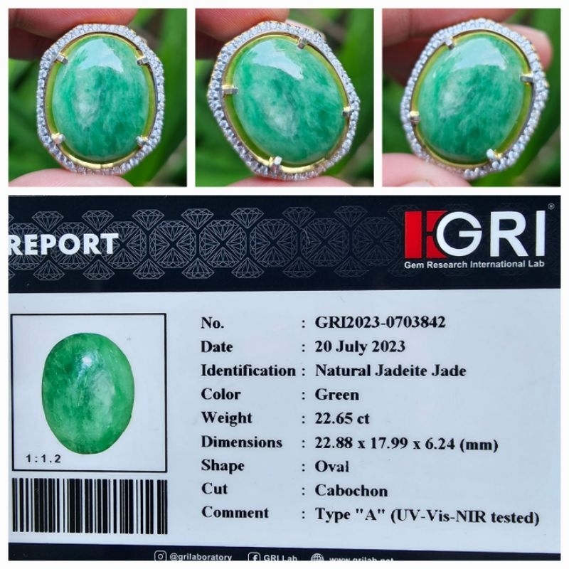 Natural Giok Burma Myanmar Jadeite Jade Type A Memo 22.65 crt