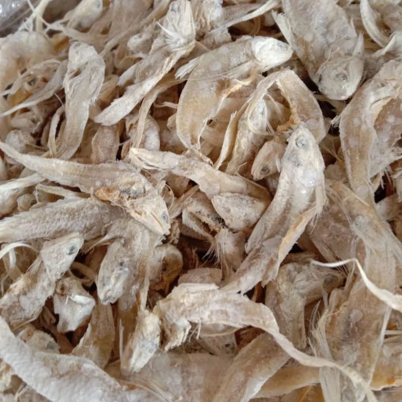 

ikan asin bulu ayam tawar 1 kg