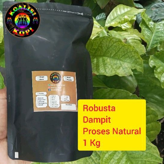 

Biji Kopi Robusta Dampit. Kopi Bubuk, Termurah,Terlaris, Berat 1 kg