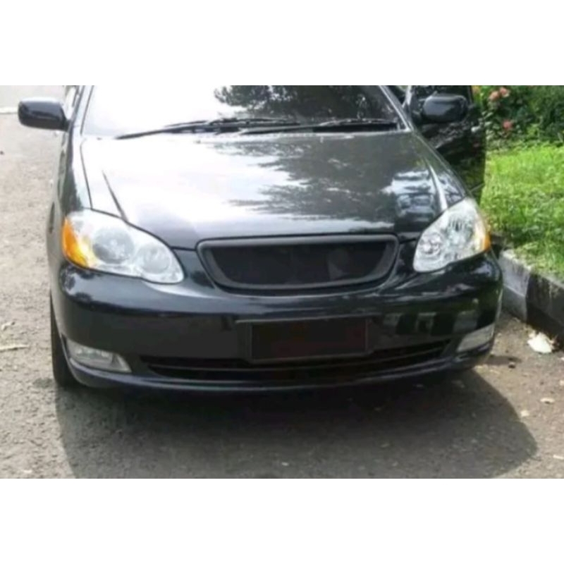 Grill Altis 2001 - 2003 sporty