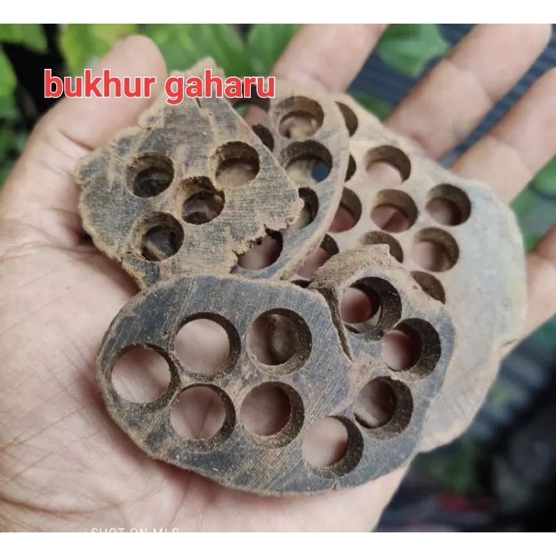 limbah gaharu 1 kg kayu gaharu wangi bukhur gaharu asli atau dupa gaharu