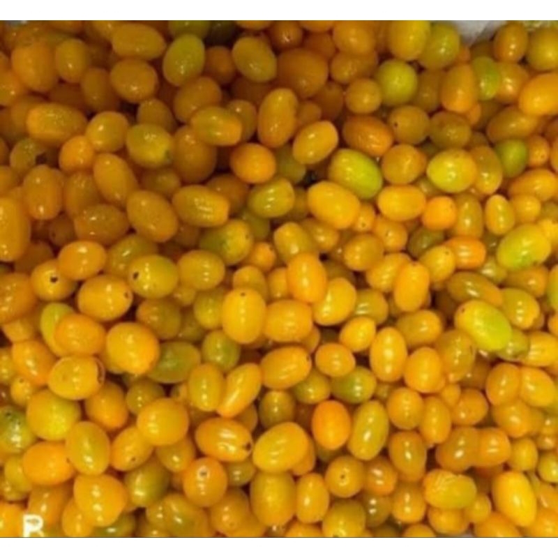 

tomat cery kuning 250gr