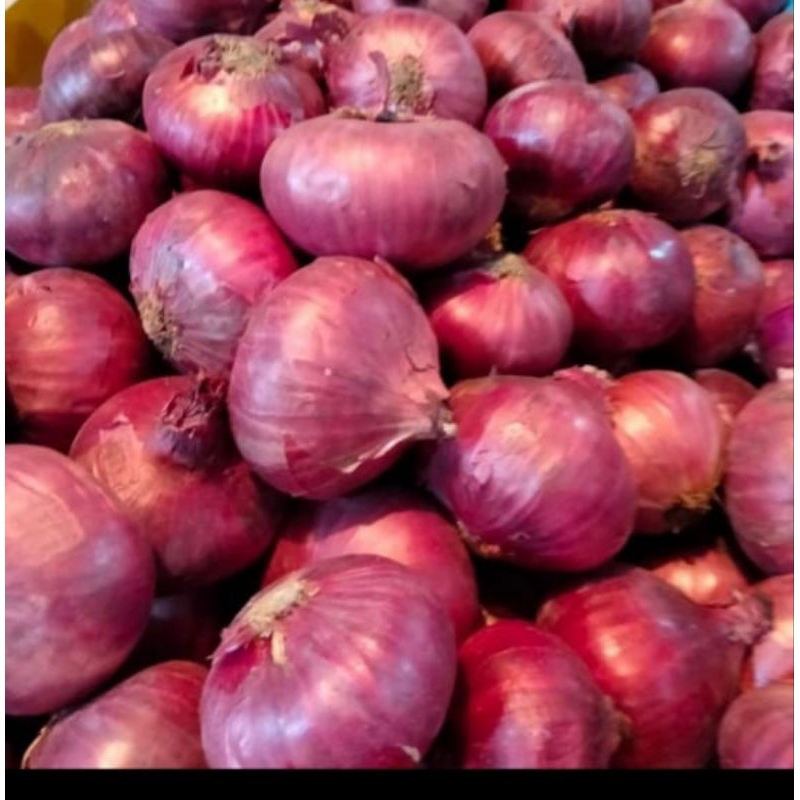 

bawang merah india 500gr