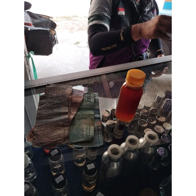 

madu apis dorsata lebah liar tawon nggung