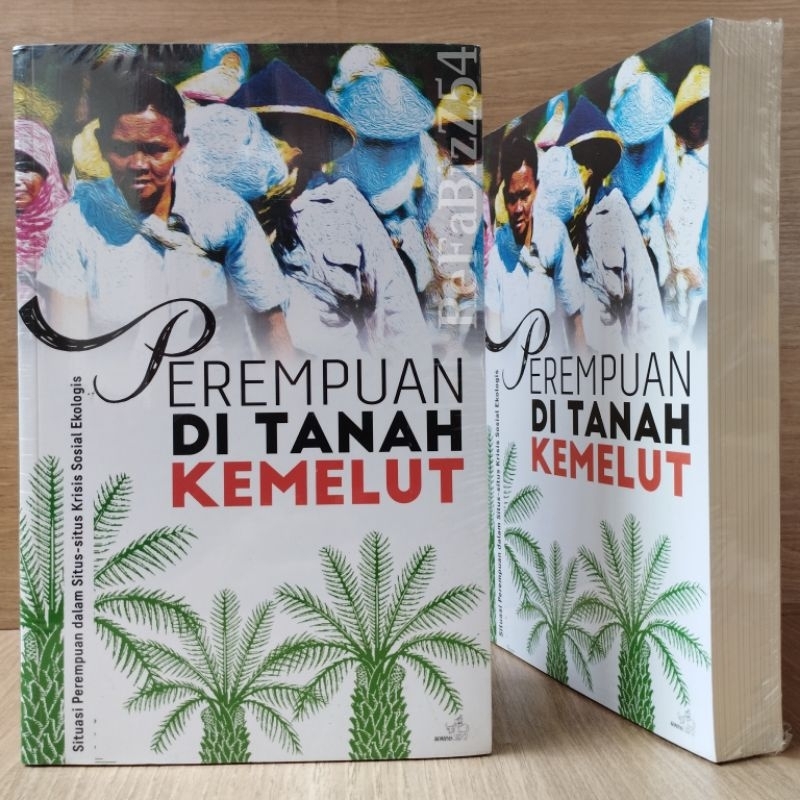 Perempuan di Tanah Kemelut, Situasi Perempuan Dalam Situs-situs Krisis Sosial Ekologis