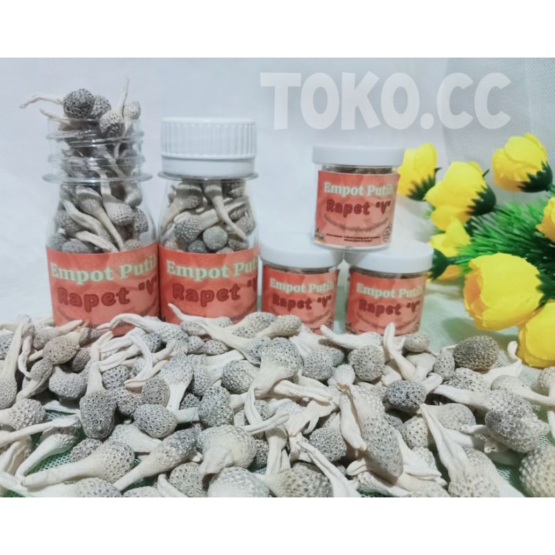 Empot mpot ayam putih albino asli madura herbal