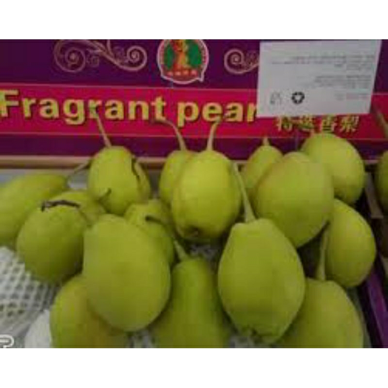 

Pear Xiang lie