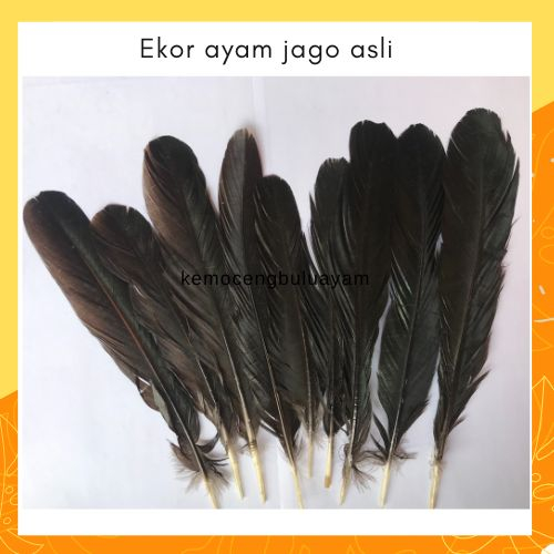 Bulu Ekor Ayam Jago Aduan Bangkok Warna Hitam Panjang 13-20cm Hiasan Kepala Gelang Bulu Untuk Nari