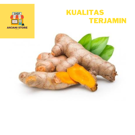

Kunyit utuh fresh 1 kg