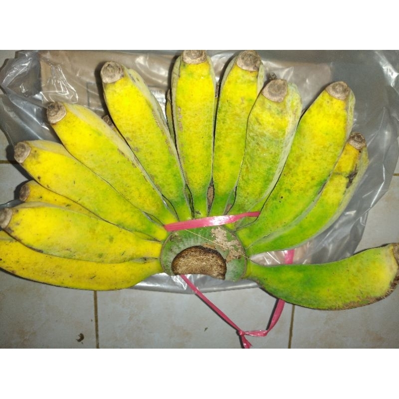 

Pisang Raja Barangan