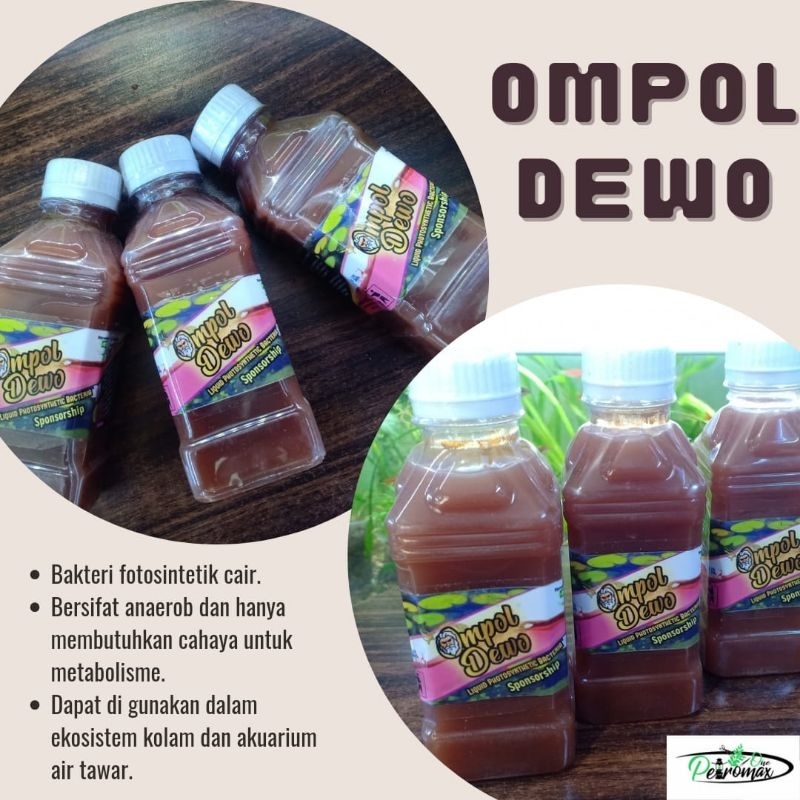 BAKTERI CAIR AQUARIUM OMPOL DEWO 250 ML