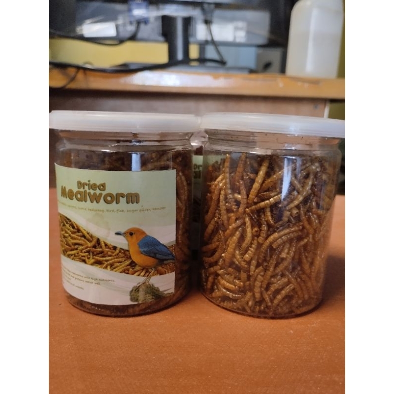 magot, ulet hongkong kering, makanan burung dan ikan