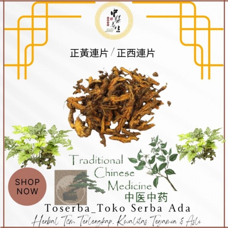 

600gr Herbal Huang Lian 正黃連 Coptis Root Golden Thread Coptis Chinensis Rhizoma Coptidis Asli