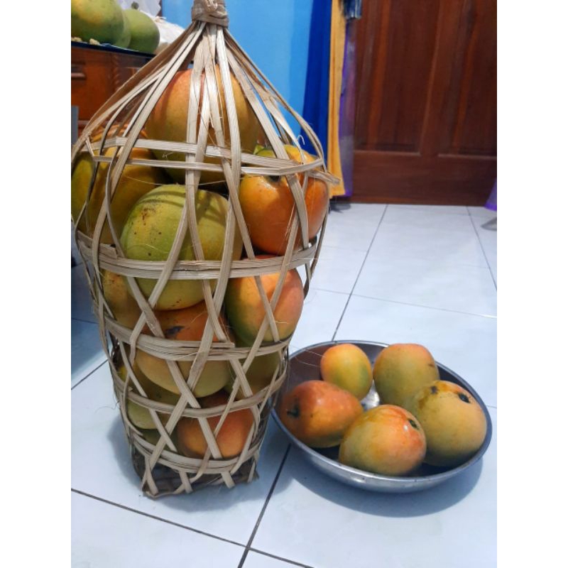 

mangga gedong gincu