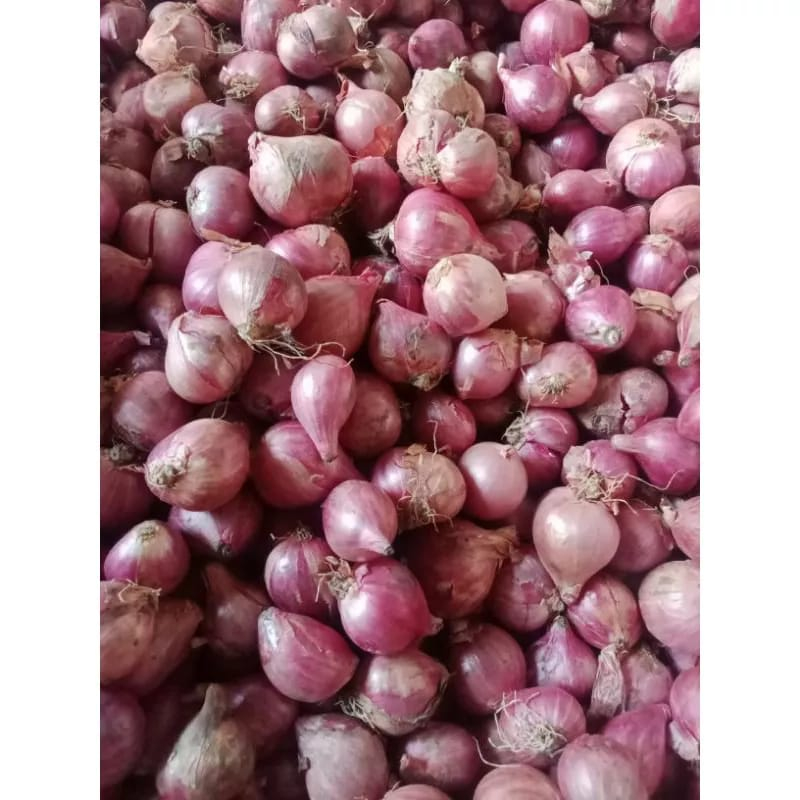 

BAWANG MERAH PREMIUM BERKUALITAS 1 KG_MeyzhaShop