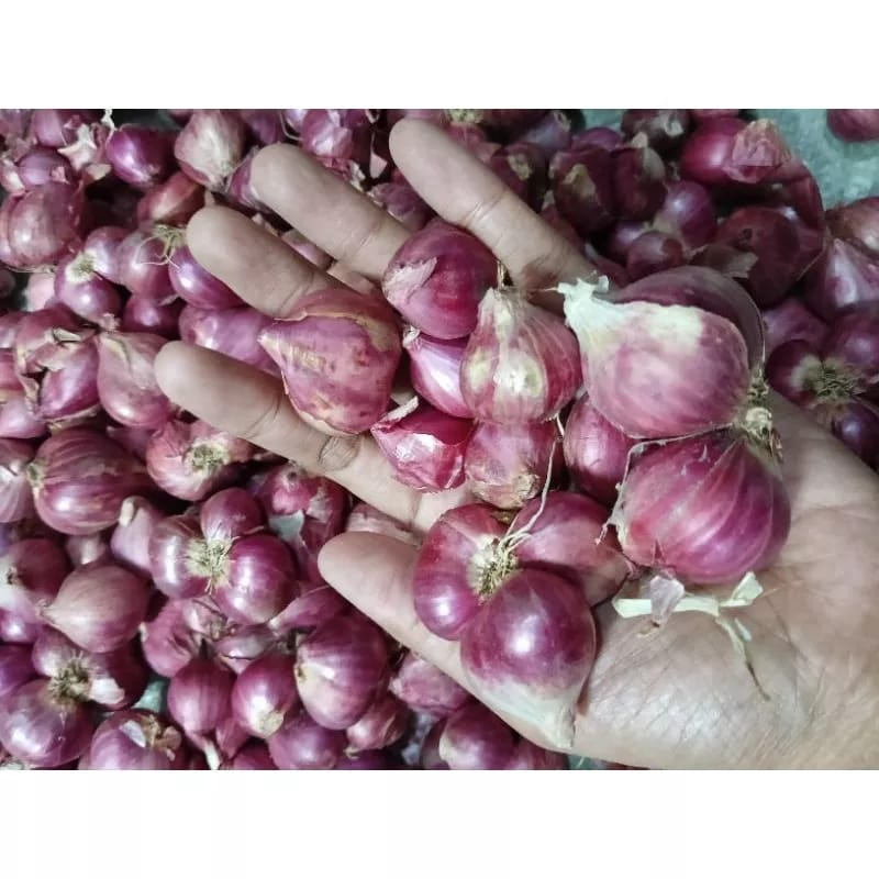 

BAWANG MERAH PREMIUM BERKUALITAS 1 K SUPER