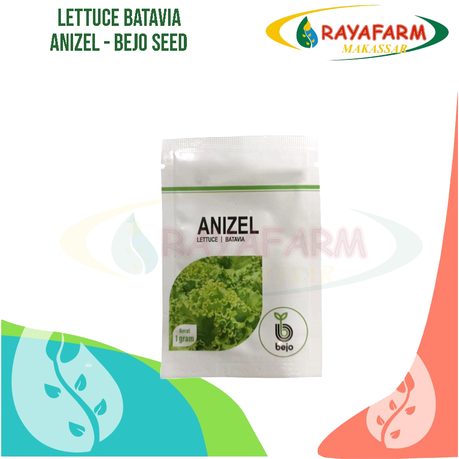 BENIH SELADA ANIZEL BEJO SEED 1gr
