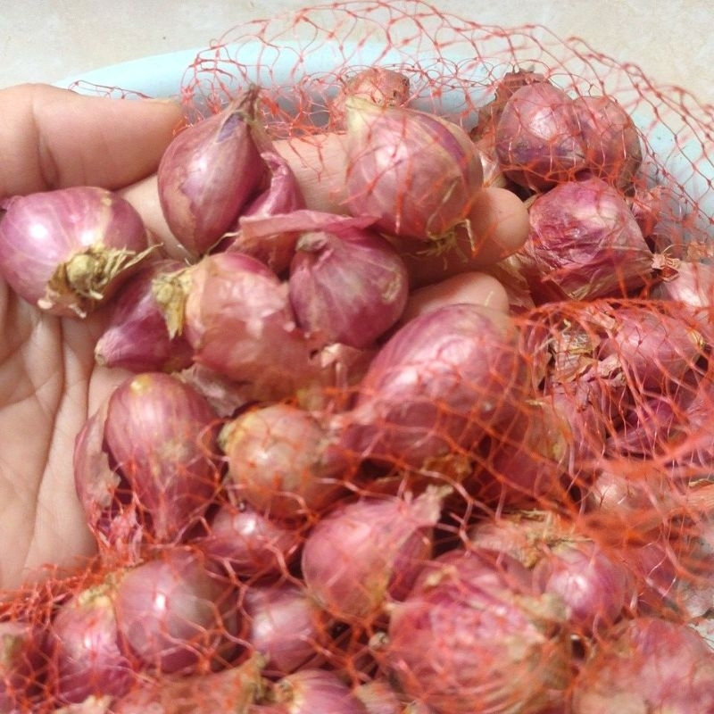 

Bawang merah Murahhh Asli Brebes 20.000/kg