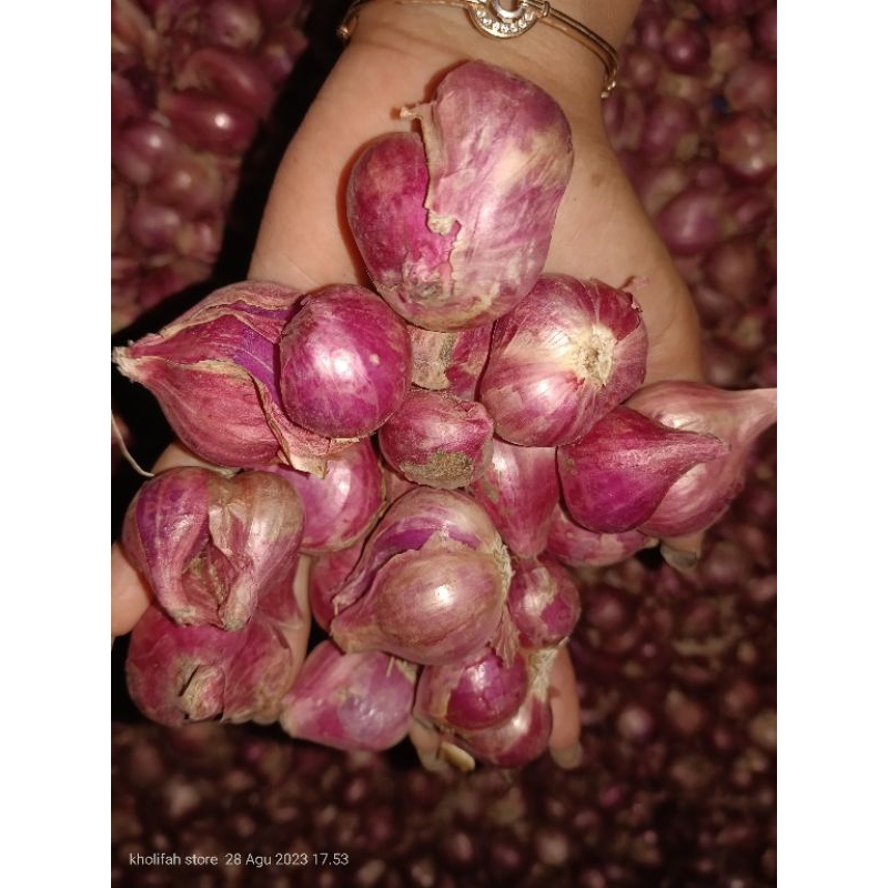 bawang merah 1kg super besar