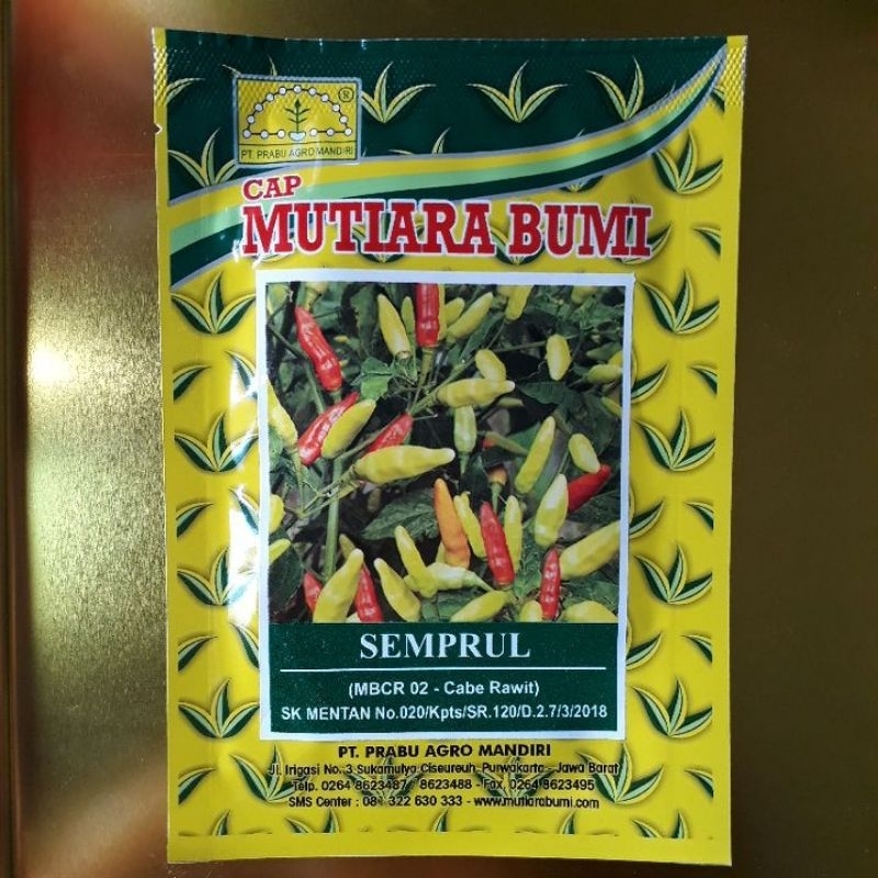 BENIH CABE SEMPRUL MUTIARA BUMI