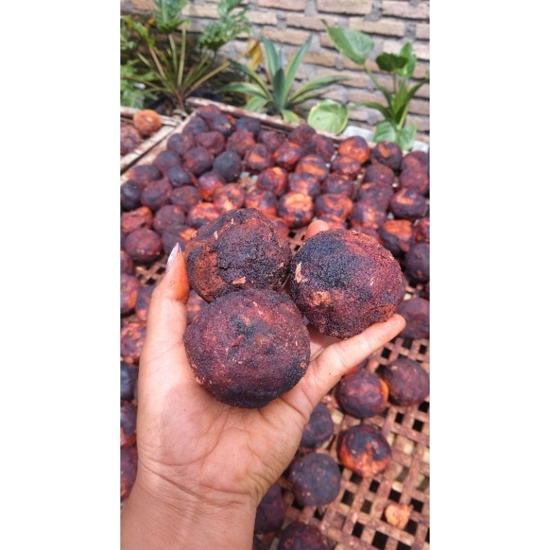 

Gambirnsurih